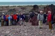Freshwater West; Ordovicium (Llanvirn) en Siluur (Wenlock), via Devoon (ORS) naar het Onder Karboon (Avon Groep)