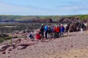 Freshwater West; Ordovicium (Llanvirn) en Siluur (Wenlock), via Devoon (ORS) naar het Onder Karboon (Avon Groep)