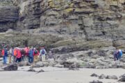 South Wales Coal Measure Groep (Westfalien) bij Amroth