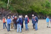 Old Red Sandstone  van Llansteffan naar St Anthony’s Cottage (Scott’s Bay)