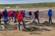 Freshwater West; Ordovicium (Llanvirn) en Siluur (Wenlock), via Devoon (ORS) naar het Onder Karboon (Avon Groep)