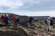 Freshwater West; Ordovicium (Llanvirn) en Siluur (Wenlock), via Devoon (ORS) naar het Onder Karboon (Avon Groep)