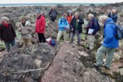 Freshwater West; Ordovicium (Llanvirn) en Siluur (Wenlock), via Devoon (ORS) naar het Onder Karboon (Avon Groep)